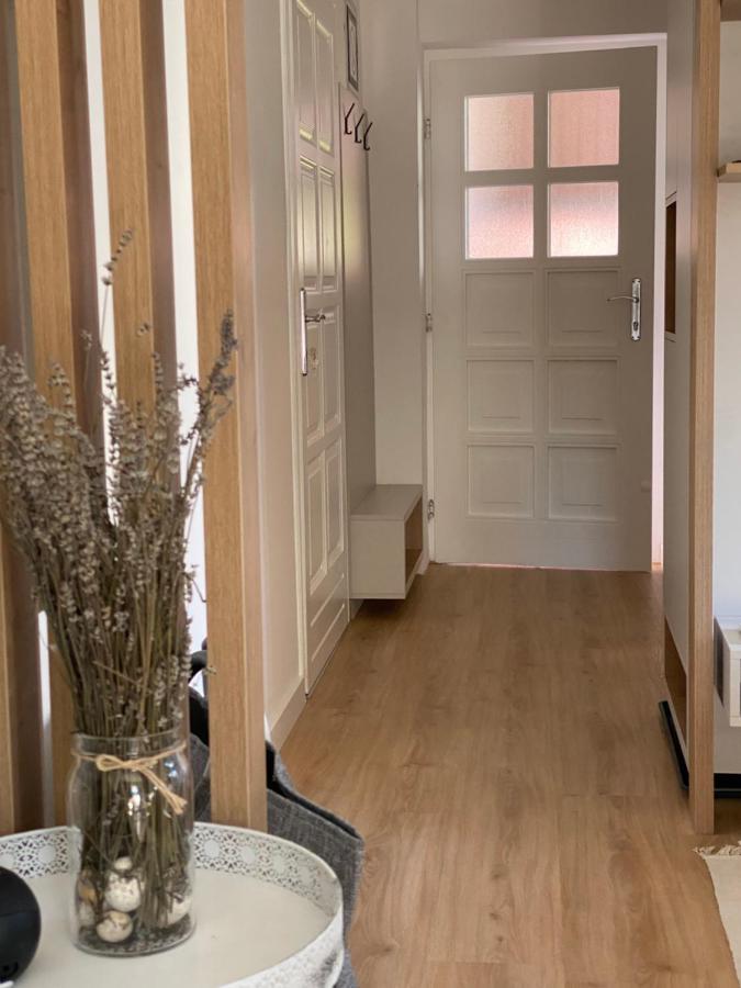 Artatore24 - Modern And Stylish Apartments Mali Lošinj Zewnętrze zdjęcie